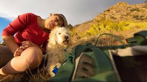 download 2020 06 04T135046.517