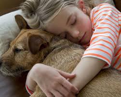 download 2020 06 04T152010.112