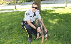 download 2020 06 04T155149.618