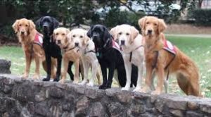 download 2020 06 10T155452.251