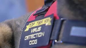 download 2020 06 17T094716.623