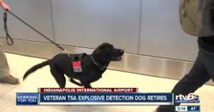 download 2020 06 17T132832.574