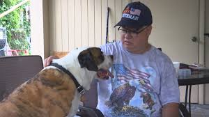 download 2020 06 19T131116.841