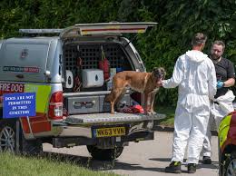 download 2020 06 24T111453.539