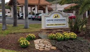 download 2020 06 24T130512.413