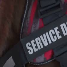 download 2020 06 24T141827.679