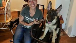 download 2020 06 26T103128.096