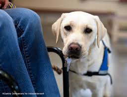 download 2020 06 26T114837.716