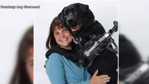 e0d8416b d1db 4076 890f a4bc3be73060 large16x9_poster_c542f30736624972b2d4cc2cc441da48