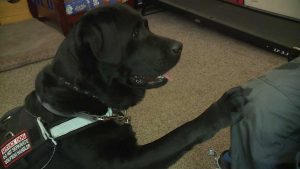 stitch 200626 dolly pawton20 1593189392