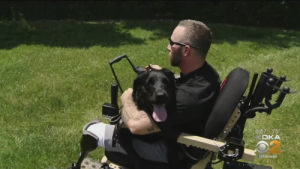 veteran and service dog