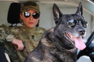 4jzgn1rdxe3iovzhza2uyc