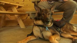 NDCOABT4FFH7TFUNJKCI7KRNIM