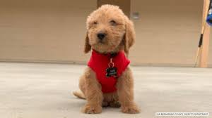 download 2020 07 01T153557.586