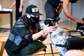 download 2020 07 03T114951.540