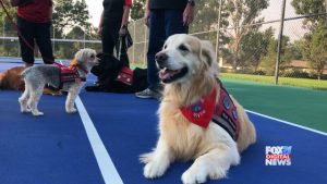 Sequence 04.00_00_46_29.Still059