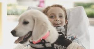 download 2020 08 27T121924.143