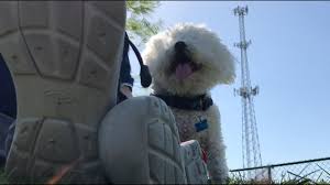 download 2020 08 27T142232.284