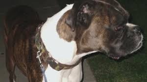 download 2020 08 31T103217.197