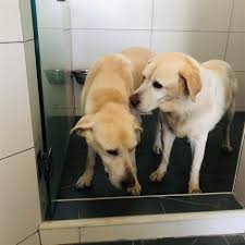 download 2020 08 31T105506.908