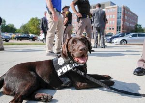 e33a826b 5f55 4c75 ba1c 6c06674f73cc 20200827_Mousse_10275