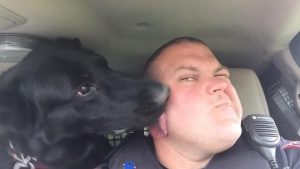 ghows OH 308209976 1691b988