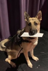 54430431_2444569722505518_3305787704406441984_n