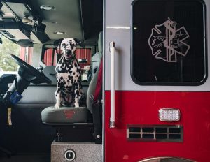 5f5146a5b0e42.image_