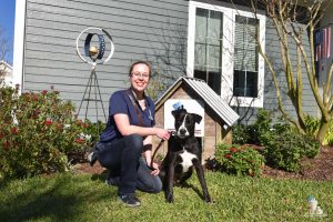 5f5b95d66c8f9.image_