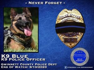 5f5d230ab9458.image_