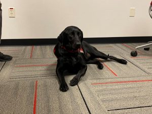 5f6a24ee997a4.image_