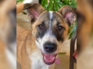 DNAPK5VYVNEYXBFD7CJURSPNY4