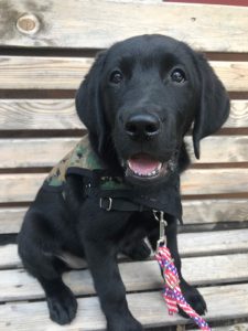 IMG_3472 e1600021336476