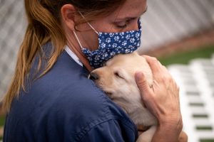 LDN L GUIDEDOGS 0912 DC 2