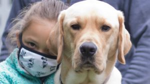 adebabc4 02d8 4158 8642 6f211aafaeb9 medium16x9_120144804_10157424860185009_1935364114971538362_o