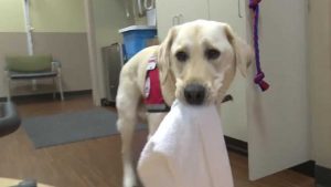 cf20153c 9388 44d9 9159 c481b86bc032_image