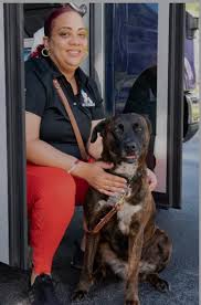 download 2020 09 02T105329.916