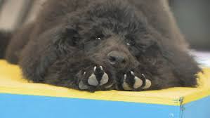 download 2020 09 02T105953.189