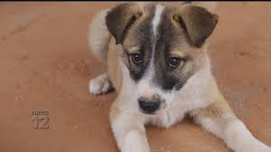 download 2020 09 02T112140.233