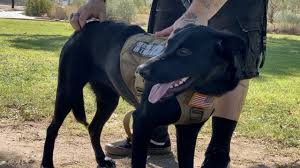 download 2020 09 09T154222.056