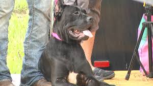 download 2020 09 21T121603.333