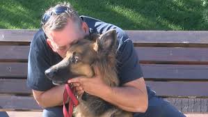 download 2020 09 21T154204.901