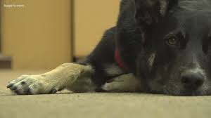 download 2020 09 22T105327.346