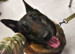 download 2020 09 24T114550.495