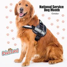 download 2020 09 24T123654.614