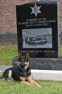 k9 Eli Monument e1599044749416 1
