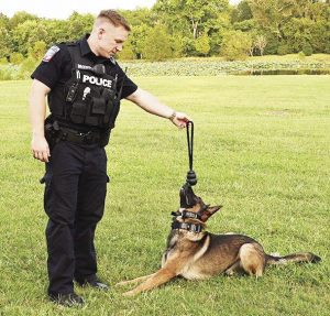 5f7294a0a1801.image 1