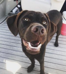 5f766479f067e.image_