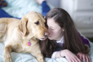 681 Blue Path Service Dogs pic 1 400x267 1