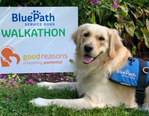 BluePAth Servic Dogs